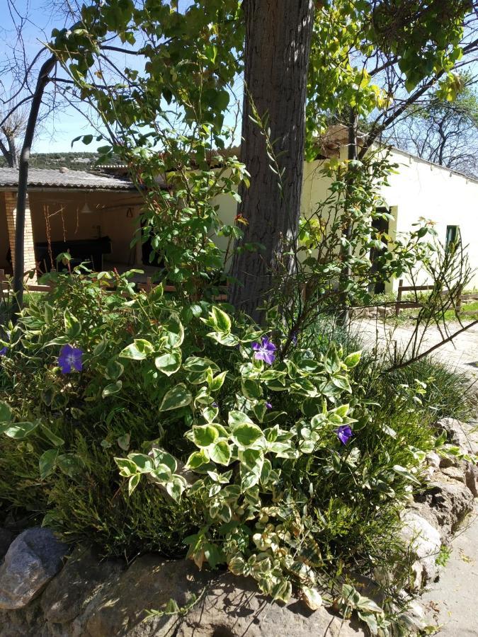 Camping Yaso-Guara ภายนอก รูปภาพ